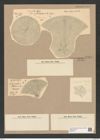 Coscinodiscus symbolophorus Grun. (de-Toni-Nr.: Genus 202, Species 4938) Zeichnungen Sammlung Grunow Nr. 8525 (NHMW-BOT-W0378151)